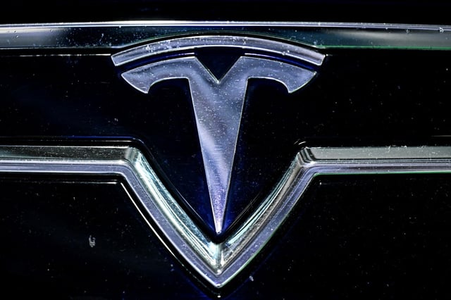 Tesla sales in the EU have nearly halved, with many customers looking for electric cars put off by Elon Musk's political positions