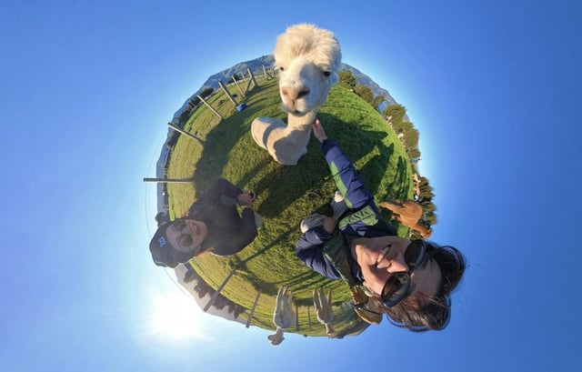 Insta360’s affordability and specifications have helped make it a top alternative to GoPro in the action camera market. Photo: Handout