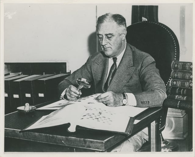 This black and white photo is of President Franklin D. Roosevelt working with his stamp collection in the White House.