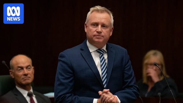 A man speaks in parliament
