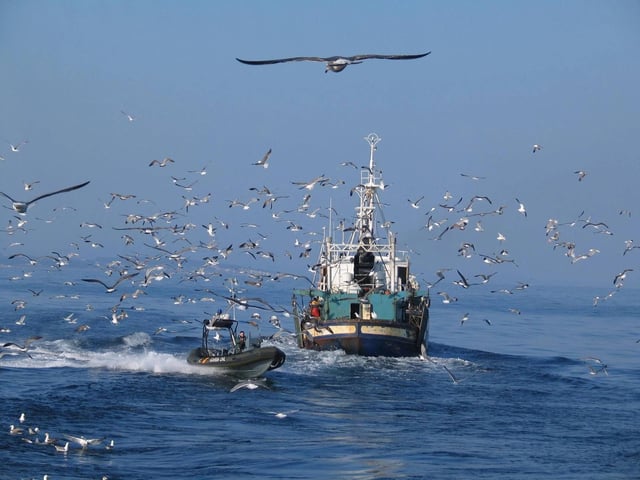 El tribunal de la UE confirma la prohibición del arrastre en zonas protegidas