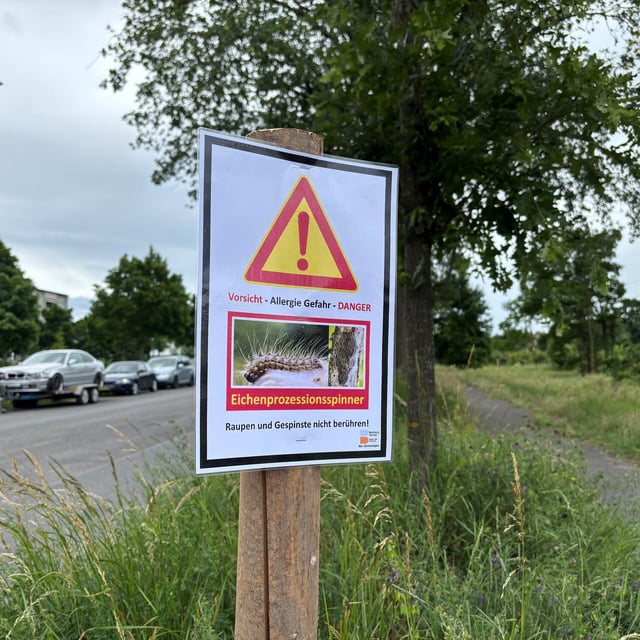 Schild warnt vor Eichenprozessionsspinner