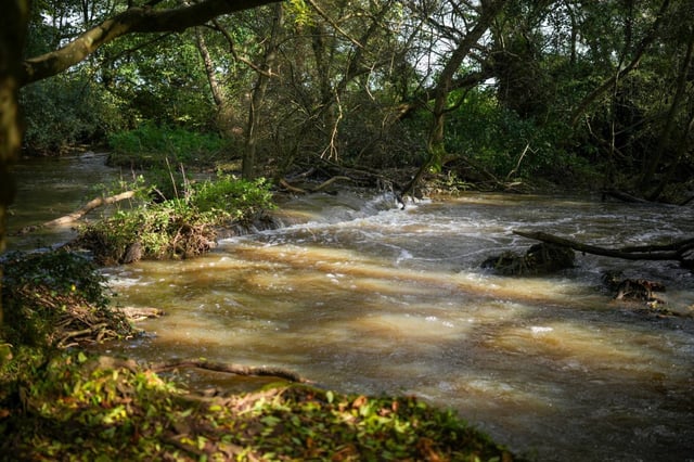 Caption: The River Frome was subject to 4,058 hours of sewage spills during 2023. Campaigners have said a real-terms cut in Defra funding will hamper efforts to clean filthy rivers (Source: Getty Images)