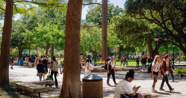 Students on the University of Texas at Arlington campus in Arlington on Sept. 10, 2024.