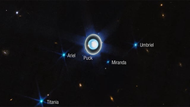 This Webb image shows Uranus and six of its 27 known moons (most of which are too small and faint to be seen in this short exposure). Image credit: NASA / ESA / CSA / STScI / J. DePasquale, STScI.