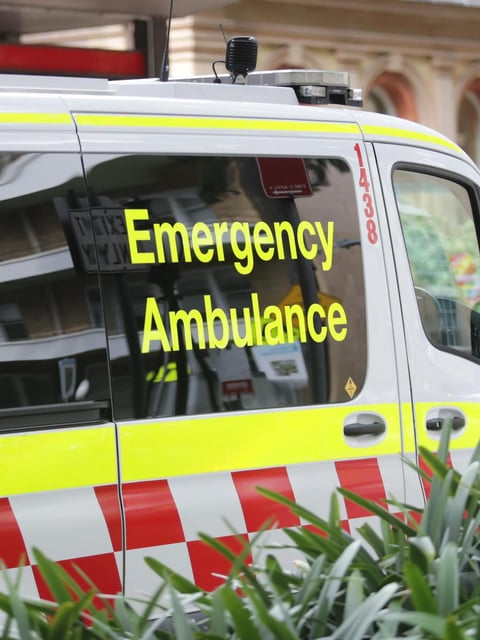 A woman and her 10-year-old son have been seriously injured in an alleged stabbing incident in southern NSW. NewsWire / Christian Gilles