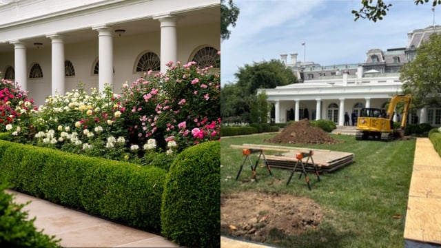 White House Rose Garden