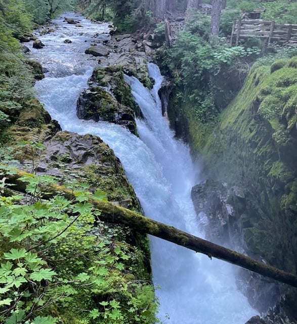 The National Park Service closed the Sol Duc Falls area (pictured above) while the Olympic National Park Search and Rescue Team after an 18-year-old man fell over the 50’ waterfall on June 8, 2025.