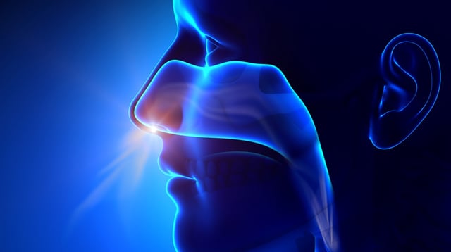 Jeder Mensch atmet auf ganz individuelle Weise ein und aus. © decade3d/iStock
