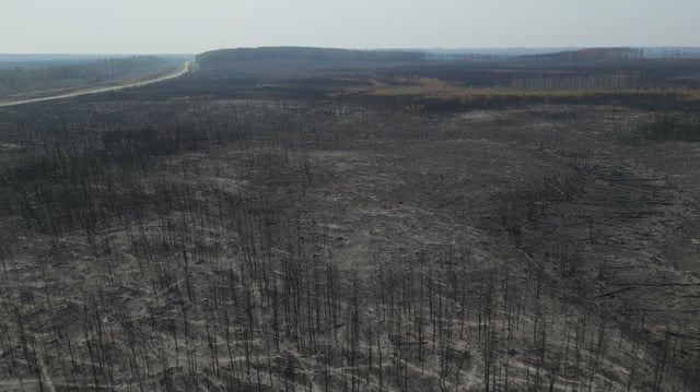 Burned forest can be seen for long stretches in the La Ronge area after wildfires ripped through the region in June.