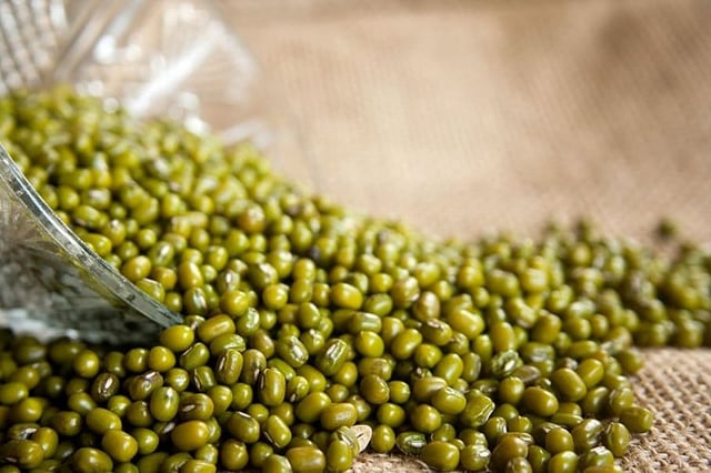 Centre okays purchase of moong from farmers under price support scheme