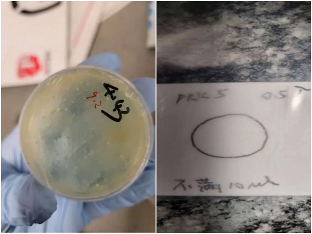 Chinese alien charged smuggling biological materials