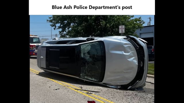 Hopefully the cicada has insurance.