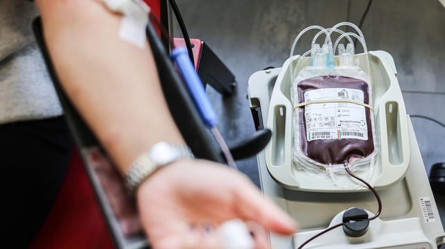 Eine Person spendet Blut im DRK-Blutspendezentrum in Köln.