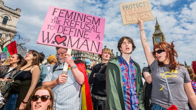A trans rights protest outside parliament in April