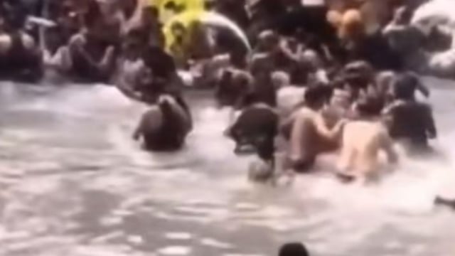 The snake can be seen swiftly slithering across the water.