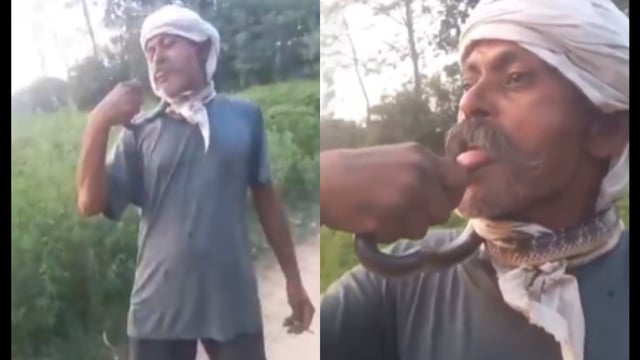 UP man’s video goes viral. Image Source: ‘priyarajputlive’/ X