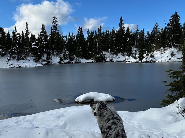 West Vancouver police are asking people to stay away from Cabin Lake in the Cypress Provincial Park area, where a man is presumed to have drowned over the weekend. Cabin Lake is shown here in a November 2024 file photo