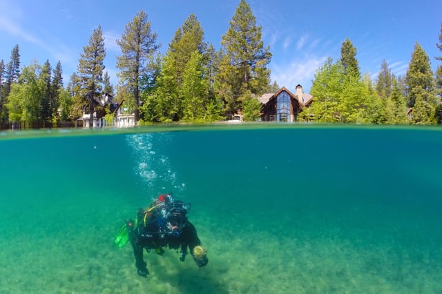 Researcher Brandon Berry samples periphyton algae while diving in Lake Tahoe’s West Shore.