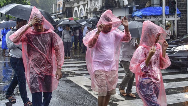 Commuters wearing raincoats and holding umbrellas cross a road amid rains in Mumbai.