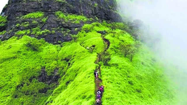 22-year-old slips off Siddhagad Fort cliff amid rain and fog; rescue teams face extreme conditions