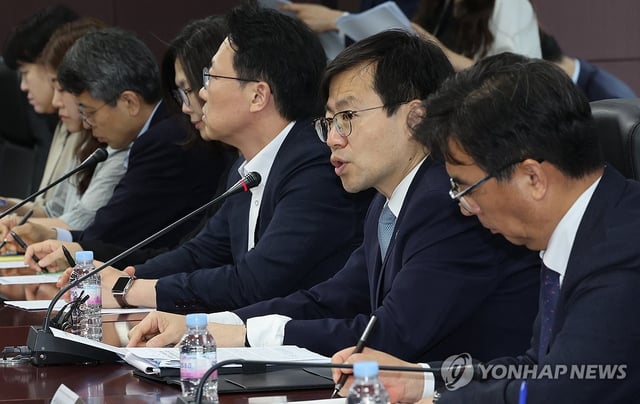 South Korean Trade Minister Yeo Han-koo (2nd from R) speaks at a pan-government meeting held in central Seoul on June 17, 2025, to discuss negotiation strategy for trade issues with the United States. (Yonhap)