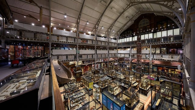 Naga delegation urges UK museum to return ancestral remains from colonial era