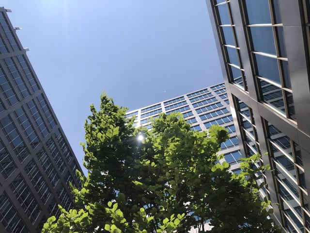 Buildings are shown on Adelaide Street, in downtown Toronto, on Tuesday, June 6, 2023. THE CANADIAN PRESS/Tammy Hoy