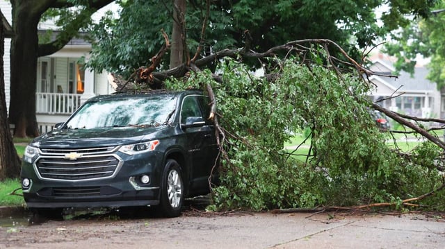 A tree lays on top of a car in Delano Tuesday morning after strong winds passed through Wichita in the early morning hours.