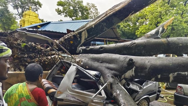 A vehicle crushed under an uprooted tree following strong winds and rain in Chikkamagaluru district of Karnataka on Tuesday (PTI)