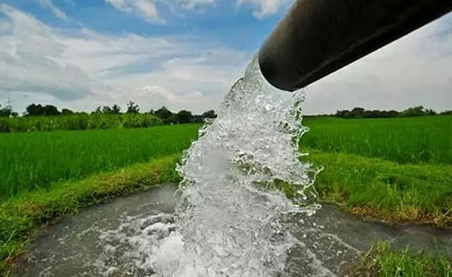 Age-old 'Dongs' revived in Udalguri to restore rural water access
 


