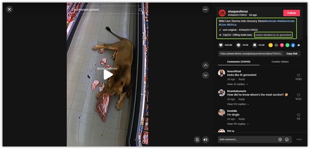 Screenshot taken on June 17, 2025, of the AI-generated video on TikTok, with the caption and disclaimer highlighted