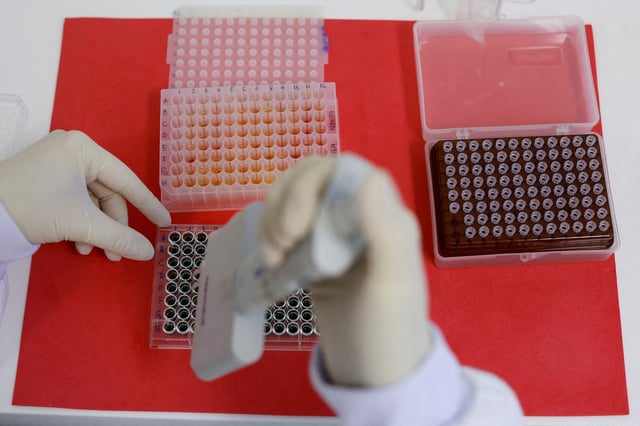 An employee dilutes poultry serum samples for ELISA test for the detection of antibodies to the avian influenza virus at the Reference Laboratory of the World Organization for Animal Health in Campinas, Brazil April 25, 2023. REUTERS/Amanda Perobelli/File Photo