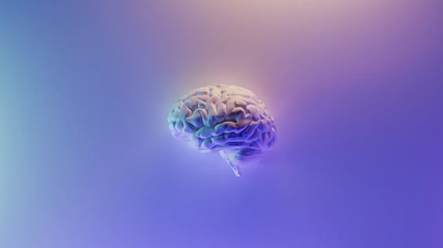 Brain, Glow, Study | Image: Unsplash