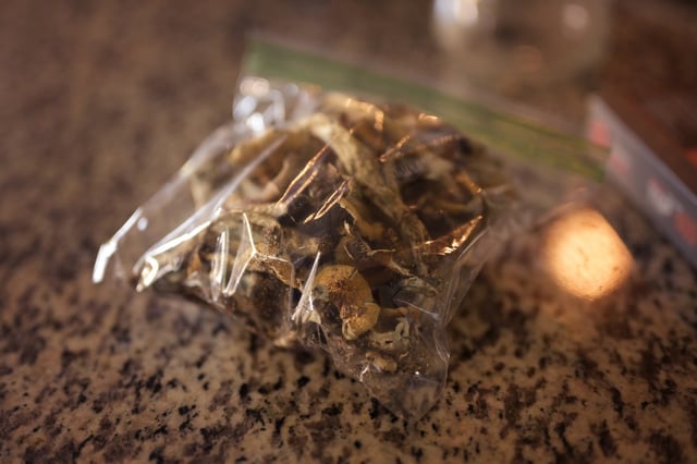 WESTMINSTER, CO - AUGUST 22 : Joe Stone uses psilocybin mushrooms as a treatment for his cluster headaches at his home in Westminster, Colorado on Tuesday, August 22, 2023. Stone typically ingests it through tea or capsule form. In the past, his treatment has been to take sub-psychedelic dose and do low-intensity activities. (Photo by Hyoung Chang/The Denver Post)