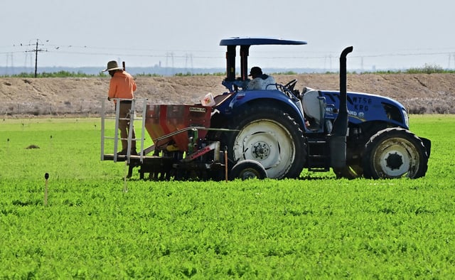 Farm workers labor in the fields south of Bakersfield, in Kern County, California&#39;s breadbasket.  