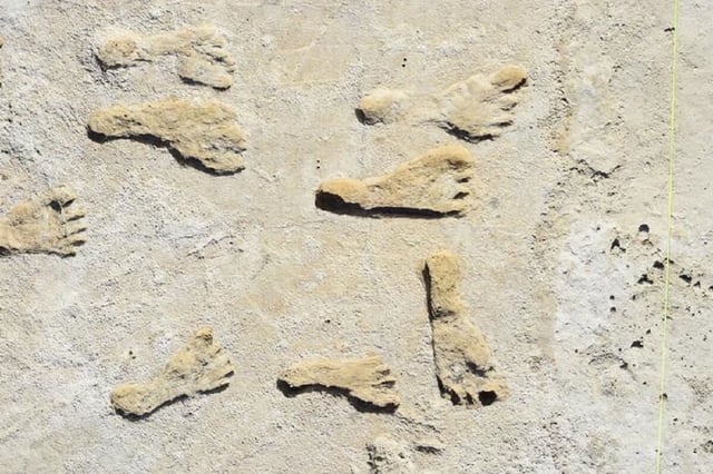 Fossilized footprints in White Sands National Park. (credit: USGS, NPS, Bournemouth University)