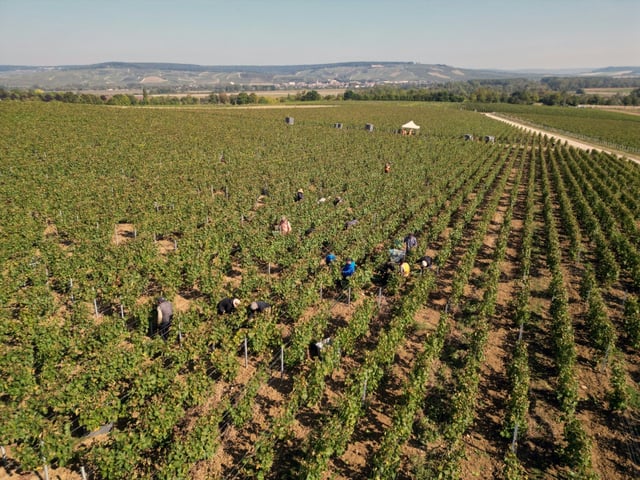 Around 50 migrant harvesters were living in accommodation which posed a danger to their 'security, health and dignity', according to investigators