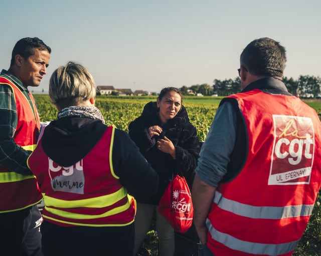 Près d’Épernay (Marne), en 2024. La CGT milite pour que des conditions dignes de rémunération et d’hébergement soient inscrites directement dans le cahier des charges de l’appellation champenoise.