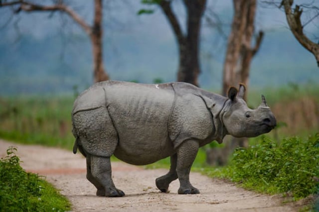 Representational Image: iStock