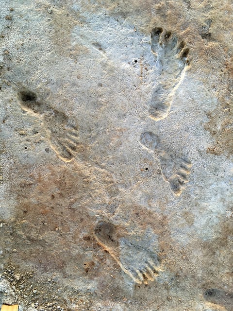 Ancient human footprints at White Sands National Park in New Mexico, U.S., are seen in this undated handout photograph obtained by Reuters on October 5, 2023.  U.S. National Park Service/Handout via REUTERS    THIS IMAGE HAS BEEN SUPPLIED BY A THIRD PARTY.  MANDATORY CREDIT/File Photo