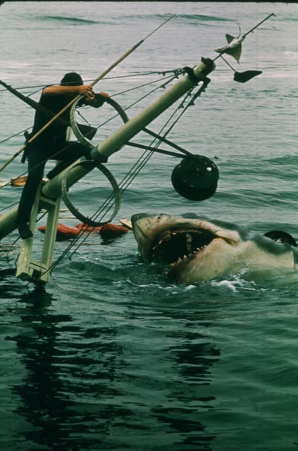 "Jaws" created a thrill ride that filmmakers have sought to match ever since.