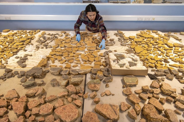 MOLA specialist Han Li reconstructing the wall plaster ©MOLA (Museum of London Archaeology)