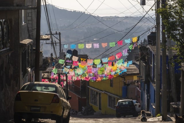 According to the WHO, 99 per cent of rabies transmissions are from dogs (Photo: 2023 Sergio Alejandro Mendoza Hochmann/Getty)
