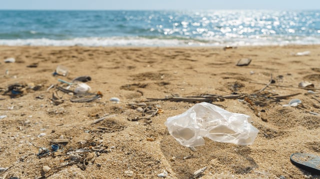 Plastic bags littering the shoreline is a common sight on beaches around the world.