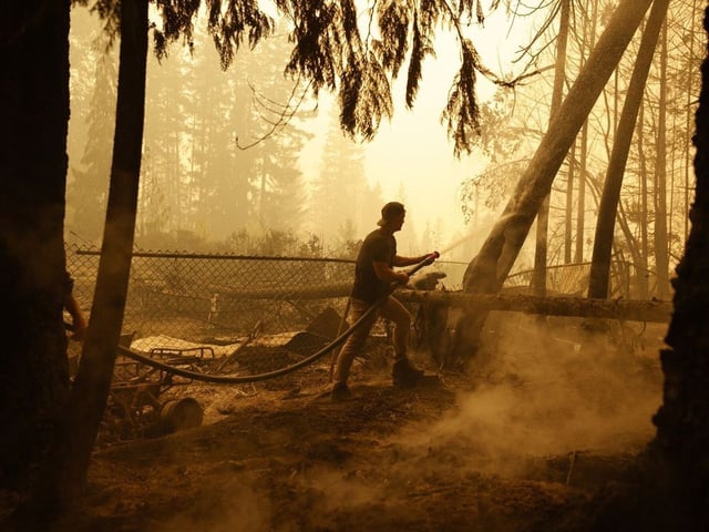 A resident sprays water on hot spots near a house during a wildfire in Celista, B.C., on Saturday, Aug. 19, 2023. A new report says B.C. logging companies should do more to help reduce wildfire risk in areas they manage.