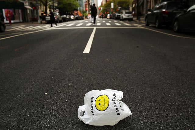 Plastic bags are particularly dangerous because they so easily fly away and enter marine ecosystems, experts said.