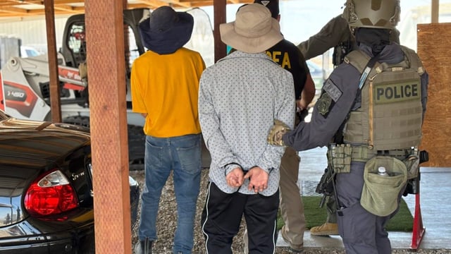 The Drug Enforcement Agency released these images of its operation that led to the arrest of 75 undocumented immigrants Wednesday, June 18, 2025, at an alleged large-scale illegal marijuana operation in Thermal. (Photo courtesy of DEA)