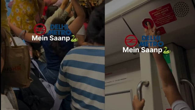 While the reptile itself is not visible in the clip, the commotion captured on camera suggests that the passengers believed they had seen one. 