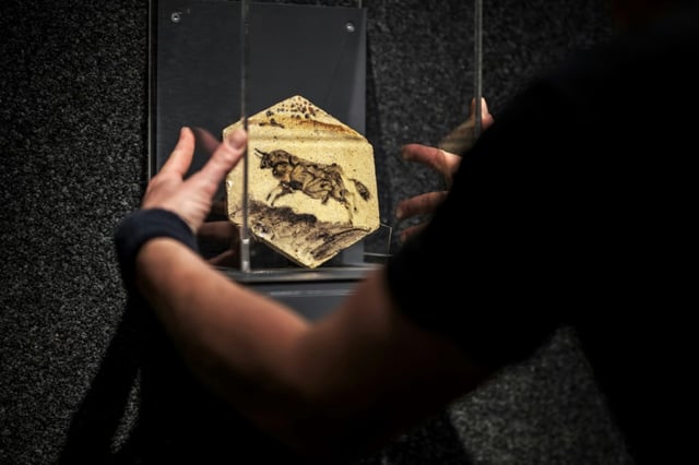 Une oeuvre en terre cuite du peintre espagnol Pablo Picasso, exposé à la maison de vente Piguet à Genève, le 5 juin 2025, avant une vente aux enchères